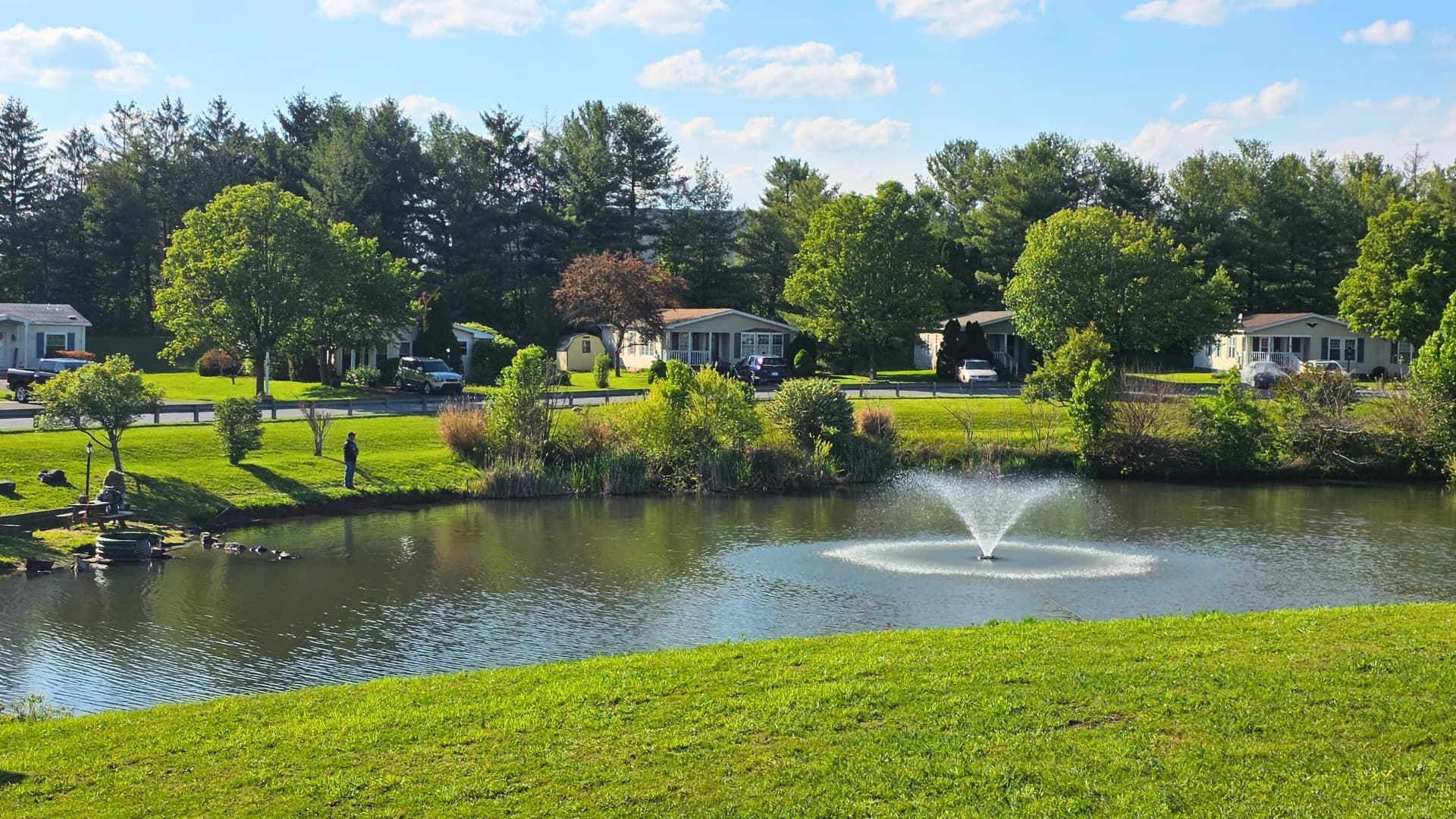 Pond fountain