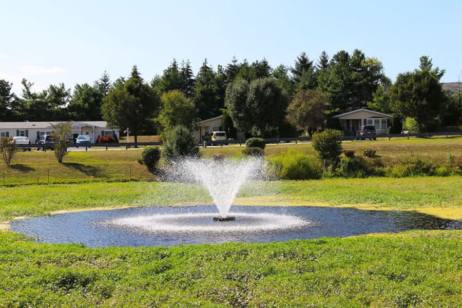 Pond